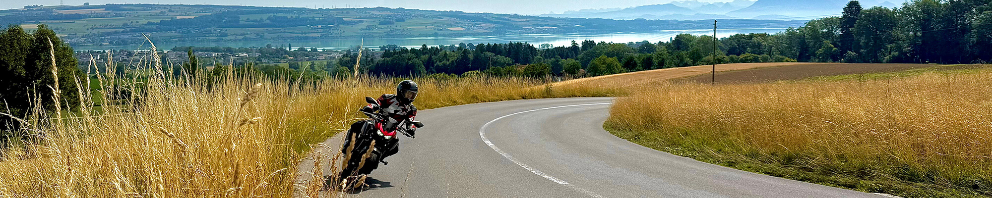 Fahrlehrer Bühler Willisau